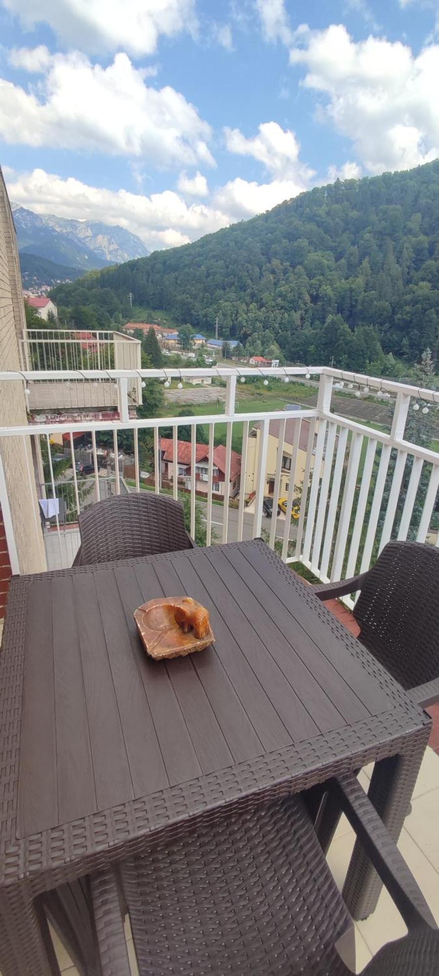 Apartamento Duplex Belle View Sinaia-Free Parking Exterior foto